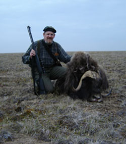 Muskox.jpg - 22388 Bytes
