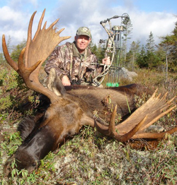 moose3.jpg - 96516 Bytes