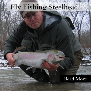 Nov11.jpg - 162331 Bytes