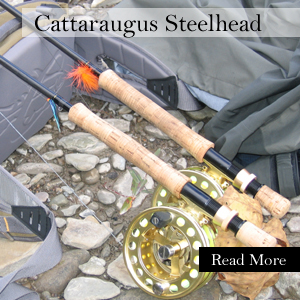 Sept.21.jpg - 128493 Bytes